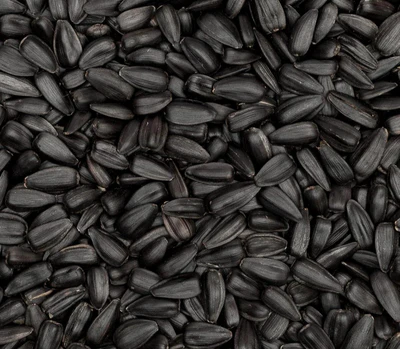 Black Seed Oil